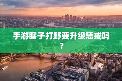 手游瞎子打野要升级惩戒吗？