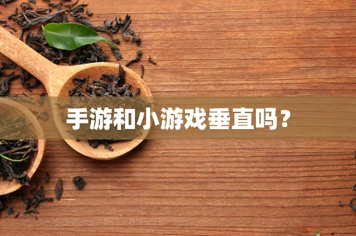 手游和小游戏垂直吗？