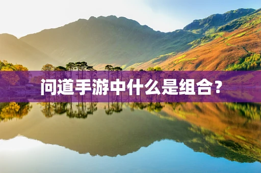 问道手游中什么是组合？
