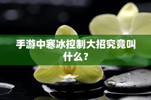 手游中寒冰控制大招究竟叫什么？