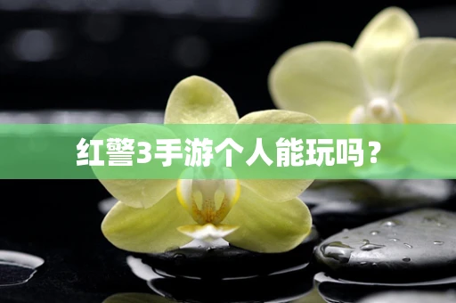 红警3手游个人能玩吗？