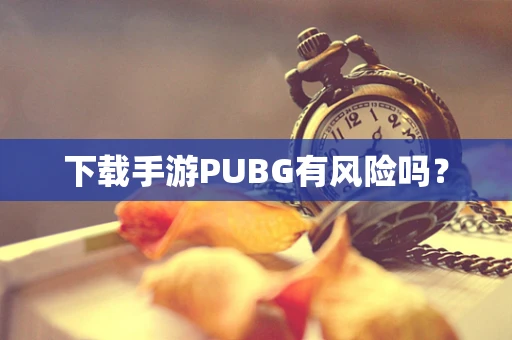 下载手游PUBG有风险吗？