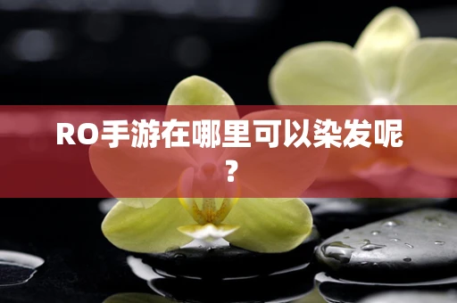 RO手游在哪里可以染发呢？
