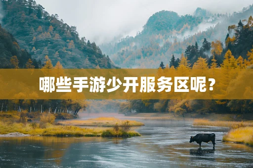 哪些手游少开服务区呢？