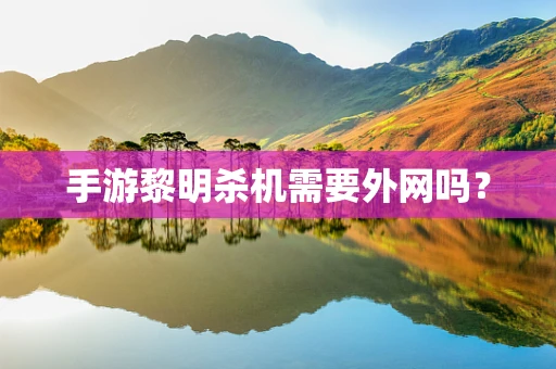 手游黎明杀机需要外网吗？