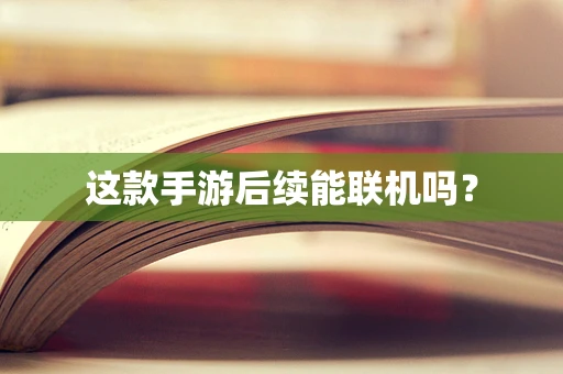 这款手游后续能联机吗？