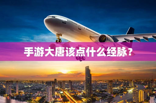 手游大唐该点什么经脉？