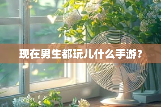 现在男生都玩儿什么手游？