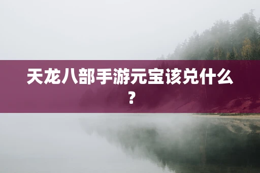 天龙八部手游元宝该兑什么？