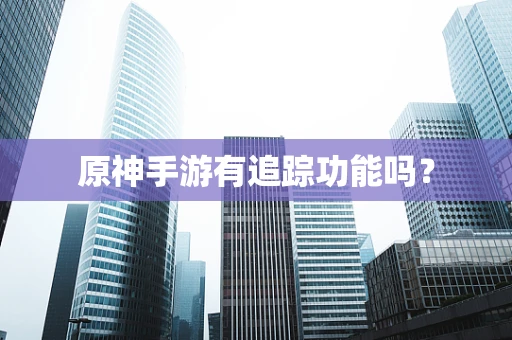 原神手游有追踪功能吗？