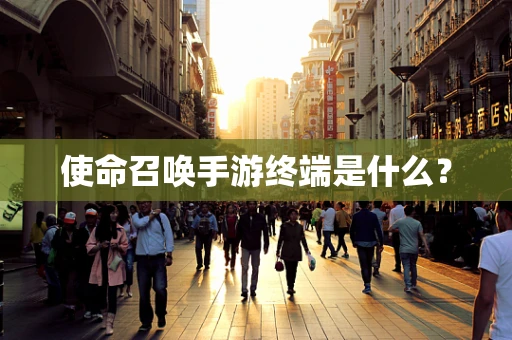 使命召唤手游终端是什么？