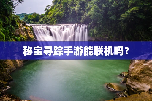 秘宝寻踪手游能联机吗？