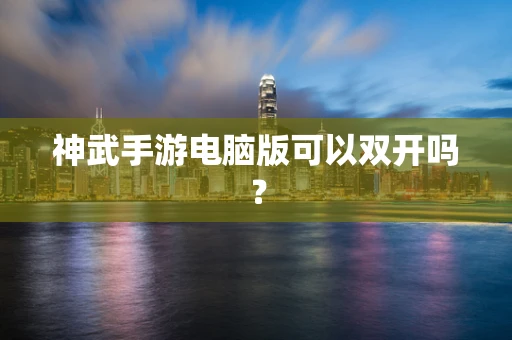 神武手游电脑版可以双开吗？