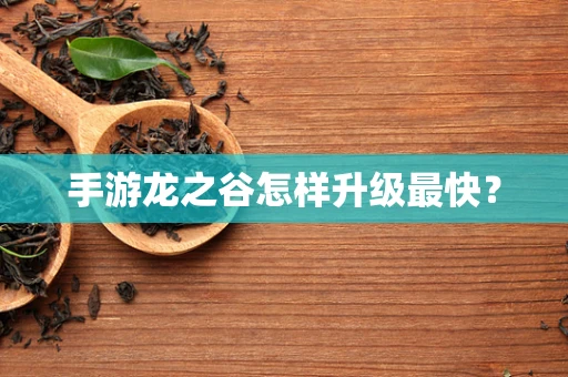 手游龙之谷怎样升级最快？