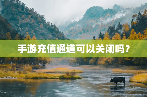 手游充值通道可以关闭吗？
