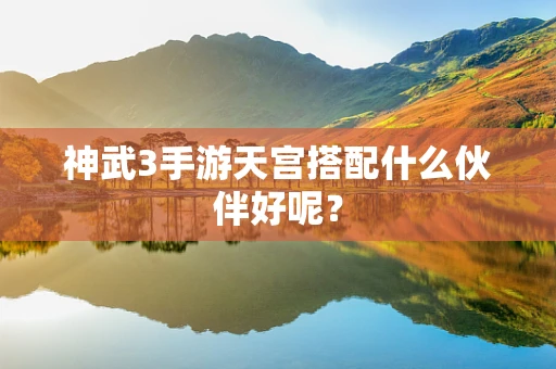 神武3手游天宫搭配什么伙伴好呢？