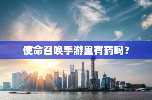 使命召唤手游里有药吗？