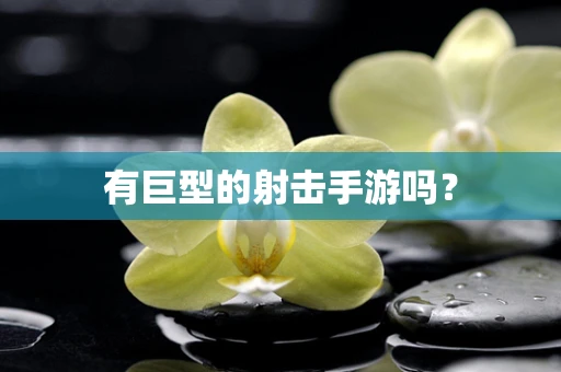 有巨型的射击手游吗？