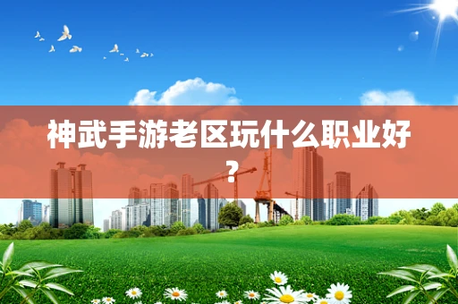 神武手游老区玩什么职业好？