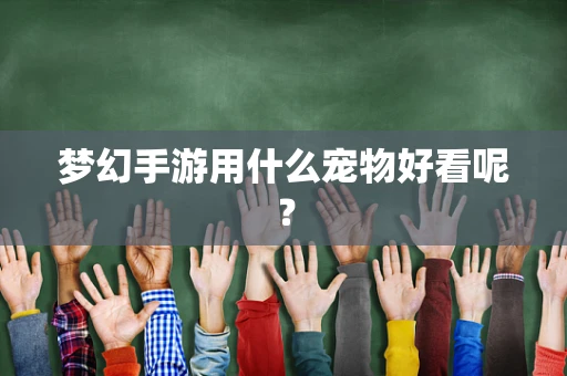 梦幻手游用什么宠物好看呢？