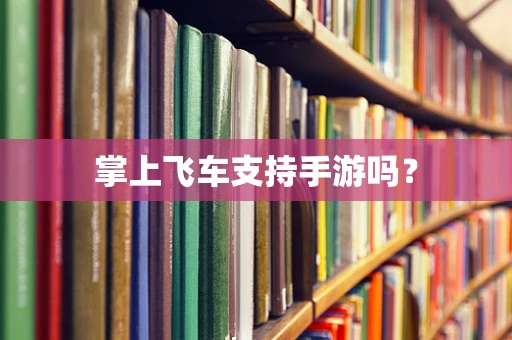 掌上飞车支持手游吗？