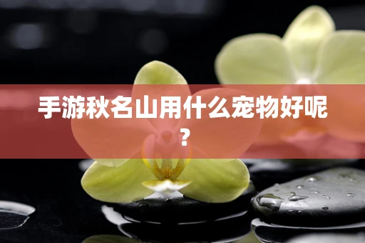 手游秋名山用什么宠物好呢？