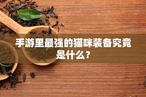 手游里最强的猫咪装备究竟是什么？