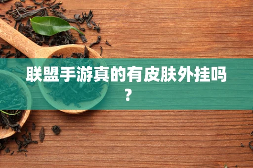 联盟手游真的有皮肤外挂吗？