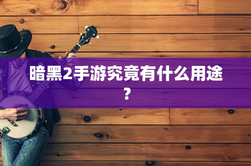 暗黑2手游究竟有什么用途？