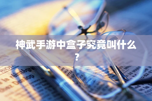 神武手游中盒子究竟叫什么？