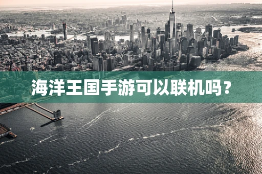 海洋王国手游可以联机吗？