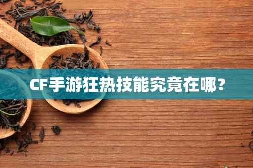 CF手游狂热技能究竟在哪？